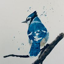 Final Project: Bluejay. Traditional illustration, Watercolor Painting, Realistic Drawing, and Naturalistic Illustration project by Jeff Severson - 05.29.2023