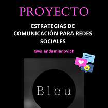 Mi proyecto del curso: Estrategia de comunicación para redes sociales. Social Media, Digital Marketing, Mobile Marketing, Facebook Marketing, Communication, Instagram Marketing, and Growth Marketing project by Valentina Damianovich - 05.29.2023