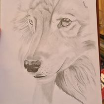 Mi proyecto del curso: Dibujo naturalista de animales con grafito. Ilustração tradicional, Desenho a lápis, Desenho e Ilustração naturalista projeto de leznoa123 - 30.05.2023