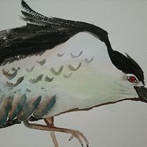 Il mio progetto del corso: Acquerelli naturalistici espressivi e con personalità. Traditional illustration, Watercolor Painting, and Naturalistic Illustration project by Maria Grazia Santonicola - 06.01.2023