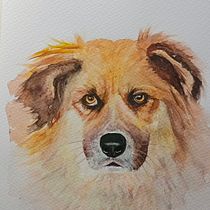 Mi proyecto del curso: Retratos expresivos de animales en acuarela. Un projet de Illustration traditionnelle, Aquarelle, Dessin réaliste et Illustration naturaliste de chotepinta - 03.06.2023