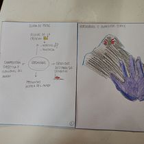 Mi proyecto del curso: Ilustración artística para libros infantiles. Un proyecto de Bellas Artes, Pintura, Creatividad, Dibujo a lápiz, Dibujo, Fotografía artística, Ilustración infantil, Narrativa y Álbum ilustrado						 de clavijoagustina - 03.06.2023