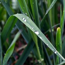 My project for course: Modern Photography in Nature. Photograph, Photograph, Post-production, Social Media, Digital Photograph, Outdoor Photograph, and Photographic Composition project by Brielle Voth - 06.04.2023
