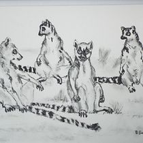 Lemurs sunbathing. My project for course: Animal Illustration with Charcoal and Ink. Artes plásticas, Desenho, Ilustração com tinta e Ilustração naturalista projeto de pronker_therover - 04.06.2023