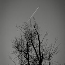 Il mio progetto del corso: Fotografia per principianti - foto di Mara Torretta . Photograph, Digital Photograph, and Photographic Composition project by Mara Torretta - 06.04.2023