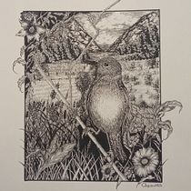Mi proyecto final: «Ave sobre trigo». Sketching, Drawing, Artistic Drawing, Sketchbook, Ink Illustration, and Naturalistic Illustration project by Sergio Alberto Urueta Calderón - 06.05.2023