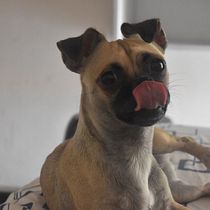 Mi proyecto del curso: Guía práctica para aprender a manejar tu cámara digital desde cero. Fotografia, e Fotografia digital projeto de Laura Cifuentes - 06.06.2023