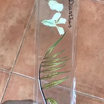 Mi proyecto del curso: Técnicas básicas de prensado botánico. Un progetto di Artigianato, Belle arti, Collage, DIY e Design floreale e vegetale di rocioc_mc81 - 07.06.2023