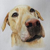 My project for course: Expressive Animal Portraits in Watercolor. Un projet de Illustration traditionnelle, Aquarelle, Dessin réaliste et Illustration naturaliste de t_party - 06.06.2023