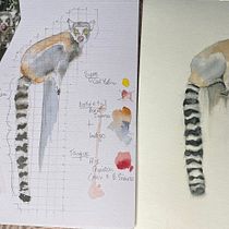My project for course: Expressive Animal Portraits in Watercolor. Un projet de Illustration traditionnelle, Aquarelle, Dessin réaliste et Illustration naturaliste de Gillie Matthew - 08.06.2023