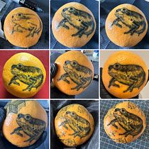 My project for course: Introduction to Tattooing. Projekt z dziedziny Trad, c, jna ilustracja, Projektowanie tatuaż, R i sunek botaniczn użytkownika Beverly Sedge - 08.06.2023
