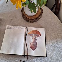 Meu projeto do curso: Ilustração de elementos naturais em aquarela. Un progetto di Illustrazione tradizionale, Pittura ad acquerello e Illustrazione naturalistica di luciana_oliveira17 - 09.06.2023