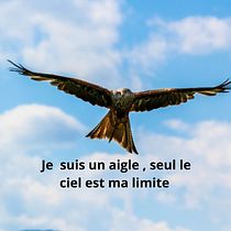 Mon projet du cours : Introduction au community management. Social Media, Digital Marketing, Content Marketing, Facebook Marketing & Instagram Marketing project by kkponnou - 06.09.2023