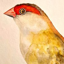 My project for course: Artistic Watercolor Techniques for Illustrating Birds. Traditional illustration, Watercolor Painting, Realistic Drawing, and Naturalistic Illustration project by wren1979 - 06.09.2023