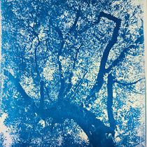 Mon projet du cours : Cyanotype : technique d'impression à la lumière. Un projet de Artisanat, Beaux Arts, Estampe, DIY , et Photographie argentique de elissonde.maryline - 10.06.2023