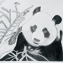 Rheba's project for course: Naturalistic Animal Drawing with Graphite Pencil. Ilustração tradicional, Desenho a lápis, Desenho e Ilustração naturalista projeto de Rheba - 11.06.2023