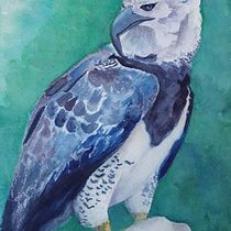 Meu projeto do curso: Aquarela naturalista com expressão e personalidade. Traditional illustration, Watercolor Painting, and Naturalistic Illustration project by Natália Fontes Rodrigues - 06.11.2023