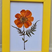 Meu projeto do curso: Técnicas básicas para prensar flores e plantas. Un progetto di Artigianato, Design floreale e vegetale, Belle arti, Collage e DIY di m_marcelobit - 13.06.2023