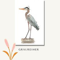 Mein Abschlussprojekt für den Kurs: Naturalistische Aquarellillustration von Vögeln. Ilustração tradicional, Pintura em aquarela, Desenho realista e Ilustração naturalista projeto de Claudia Ligendza - 13.06.2023