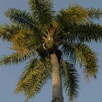 My project for course: Lifestyle and Travel Photography. Een project van Fotografie, Buitenfotografie, Lifest y le fotografie van Piret Victoria Ribas - 06.07.2023