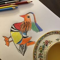 My project for course: Animal Illustration: Capturing Wildlife in a Sketchbook. Traditional illustration, Collage, Sketchbook, and Naturalistic Illustration project by skylar756 - 06.11.2023