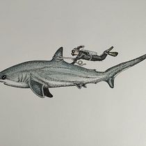 Mi proyecto del curso: Ilustración científica de animales en acuarela/Tiburón con buzo. Traditional illustration, Watercolor Painting, Realistic Drawing, and Naturalistic Illustration project by javramirez1603 - 06.14.2023