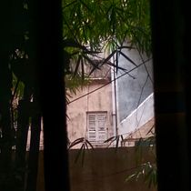 Story telling for Conservation : Window with a view. Escrita, Stor, telling, Narrativa, Escrita criativa				, e Criatividade projeto de Neeta Das - 13.06.2023