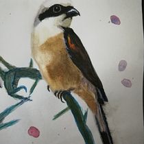 My project for course: Artistic Watercolor Techniques for Illustrating Birds. Traditional illustration, Watercolor Painting, Realistic Drawing, and Naturalistic Illustration project by krobats - 06.16.2023