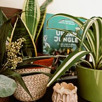Mi proyecto del curso: Estilismo y decoración del hogar con plantas. Interactive Design, Decoration, Interior Decoration, DIY, Floral, Plant Design, and Spatial Design project by Raúl Fernández Talero - 06.17.2023