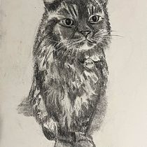 My project for course: Animal Illustration with Charcoal and Ink. Artes plásticas, Desenho, Ilustração com tinta e Ilustração naturalista projeto de Helene Epstein - 18.06.2023