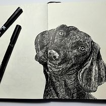 Mi proyecto del curso: Técnicas de dibujo con @alvarejo. Un progetto di Disegno, Sketchbook e Illustrazione con inchiostro di Anais García Burgos - 18.05.2023