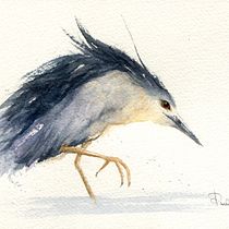 Il mio progetto del corso: Acquerelli naturalistici espressivi e con personalità. Traditional illustration, Watercolor Painting, and Naturalistic Illustration project by Pina Muscas - 06.16.2023