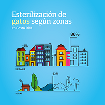Tendencias sobre la tenencia responsable de mascotas. Un progetto di Gestione progetti di design, Graphic design, Design dell’informazione, Marketing, Infografica, Comunicazione e Design di presentazioni di ppatricia_martinez - 19.06.2023