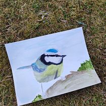 My project for course: Artistic Watercolor Techniques for Illustrating Birds. Traditional illustration, Watercolor Painting, Realistic Drawing, and Naturalistic Illustration project by Suzanne Faber - 06.19.2023