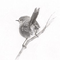 My project for course: Expressive Drawing with Charcoal. Fine Arts, Drawing, Portrait Drawing, and Naturalistic Illustration project by anne.babington - 06.21.2023