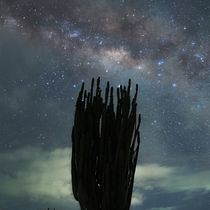Mi proyecto del curso: Introducción a la astrofotografía. Un projet de Photographie , et Photographie extérieure de María Fernanda Martínez Amaya - 17.06.2023
