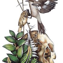 Mi proyecto del curso: Ilustración naturalista con bolígrafo. Traditional illustration, Drawing, Realistic Drawing, and Naturalistic Illustration project by Carlos Adrián De La Paz Almaraz - 06.22.2023