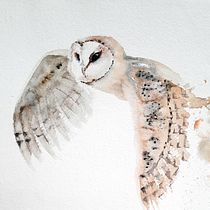 Mi proyecto del curso: Acuarela naturalista con expresión y personalidad. Watercolor Painting, Naturalistic Illustration, and Traditional illustration project by Romina Ojeda - 06.23.2023