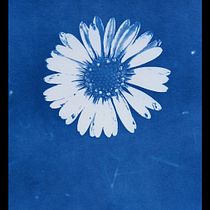 Mi proyecto del curso: Cianotipia: técnica de impresión con luz. Un projet de Artisanat, Beaux Arts, Estampe, DIY , et Photographie argentique de Amaya Narvarte Navarro - 25.06.2023