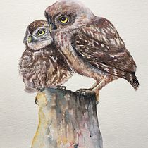 My project for course: Artistic Watercolor Techniques for Illustrating Birds. Traditional illustration, Watercolor Painting, Realistic Drawing, and Naturalistic Illustration project by pauline_c - 06.25.2023