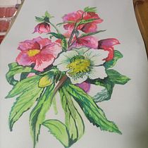Mi proyecto del curso: Acuarela floral: conecta con la naturaleza. Ilustração tradicional, Pintura, Pintura em aquarela e Ilustração botânica projeto de Anderson Caicedo Barahona - 26.06.2023