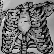 Mi proyecto del curso: Dibujo anatómico para principiantes. Fine Arts, Sketching, Pencil Drawing, Drawing, Realistic Drawing, and Figure Drawing project by zamoralaura328 - 06.27.2023
