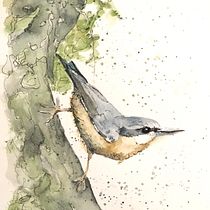 My project for course: Artistic Watercolor Techniques for Illustrating Birds. Traditional illustration, Watercolor Painting, Realistic Drawing, and Naturalistic Illustration project by annemiekzwegers - 06.27.2023