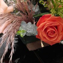 Mi proyecto del curso: Diseño y creación de composiciones florales. Un progetto di Interior design, Paesaggismo, Interior Design, DIY e Design floreale e vegetale di Catalina Neira - 28.06.2023