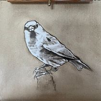 My project for course: Classical Oil Painting for Naturalist Bird Portraiture. Fine Arts, Painting, Oil Painting, and Naturalistic Illustration project by Michael Fairless - 06.29.2023