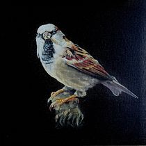 My project for course: Classical Oil Painting for Naturalist Bird Portraiture. Fine Arts, Painting, Oil Painting, and Naturalistic Illustration project by Michael Fairless - 06.27.2023
