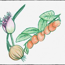 My project for course: Artistic Techniques for Illustrating Nature. Traditional illustration, Watercolor Painting, Acr, lic Painting, Botanical Illustration, Ink Illustration, and Colored Pencil Drawing project by Masha Fedotov - 06.30.2023