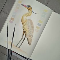 Mi proyecto del curso: Ilustración naturalista de aves con acuarela. Ilustração tradicional, Pintura em aquarela, Ilustração naturalista, e Desenho realista projeto de Elías López - 26.06.2023