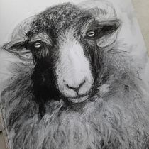 My project for course: Animal Illustration with Charcoal and Ink. Artes plásticas, Desenho, Ilustração com tinta e Ilustração naturalista projeto de eluned_eleven - 30.06.2023