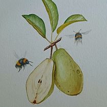 Mijn project van de cursus: Realistisch botanisch illustreren: vind je toevlucht in de natuur. Painting, Watercolor Painting, Botanical Illustration, and Naturalistic Illustration project by Ruud van Unen - 07.01.2023